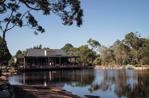 Saddles Mt White - Accommodation Tasmania 1