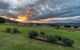 Mountain Ridge Wines - thumb 2