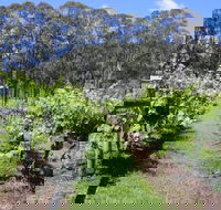 Woongooroo Estate Winery - Accommodation Tasmania