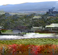 Milton Vineyard - Accommodation Tasmania