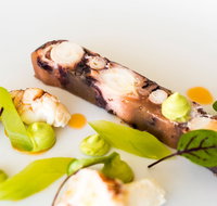 The Wild Herring
