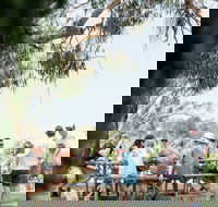 St Leonards Vineyard Caf - Accommodation Tasmania