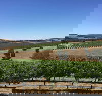 Peerick Vineyard and Winery - Accommodation Tasmania
