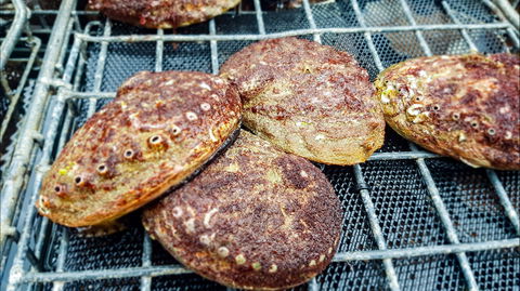 Hursey Seafoods - Accommodation Tasmania 2