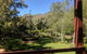 Stirling Cottage Cafe - thumb 0