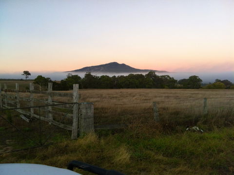 Mountainside Wines - Accommodation Tasmania 0