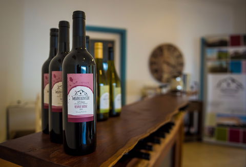 Mountainside Wines - Accommodation Tasmania 2
