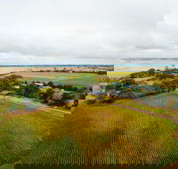 Pettavel Wines - Accommodation Tasmania