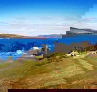 Anim Wine - Accommodation Tasmania