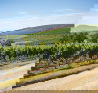 Jansz Tasmania - Accommodation Tasmania