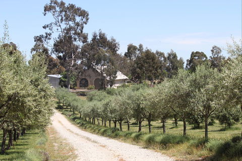 L'Oliveraie Olive Grove - Accommodation Tasmania 0