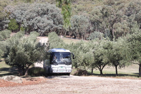 L'Oliveraie Olive Grove - Accommodation Tasmania 2