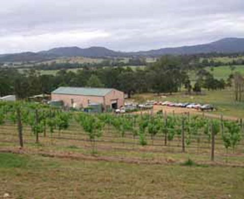 Villa D Esta Vineyard - Accommodation Tasmania 0