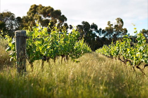 Happs Winery And Pottery - Accommodation Tasmania 0