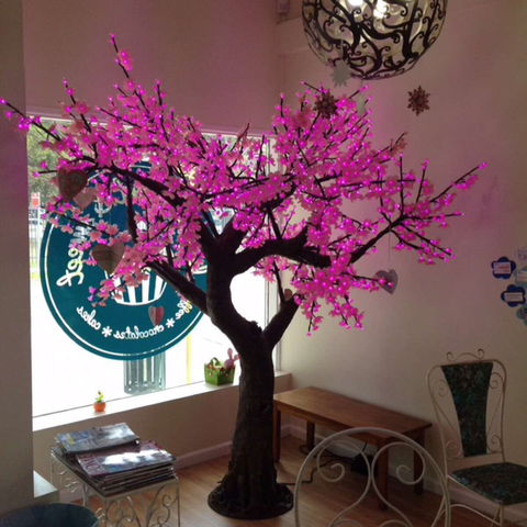 Keep It Short And Sweet - Accommodation Tasmania 0