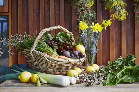 O'Reilly's Orchard - Accommodation Tasmania 1