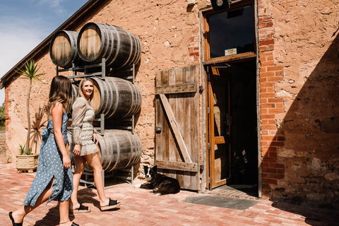 Shingleback Wine - Accommodation Tasmania 1