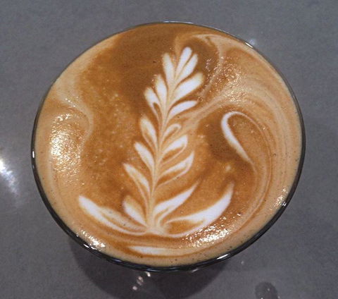Daily Bean Cafe - Accommodation Tasmania 21