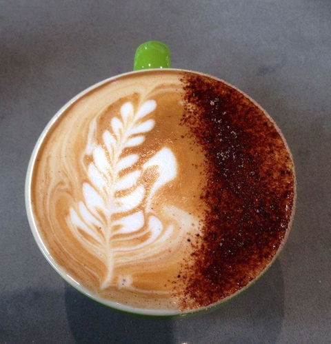 Daily Bean Cafe - Accommodation Tasmania 25