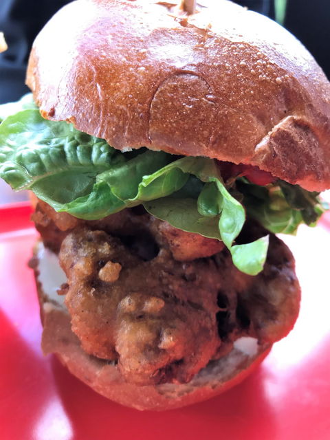 Miss Kay's Mitchelton - Accommodation Tasmania 3