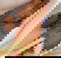 KFC - Accommodation Tasmania