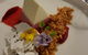 Springs Kitchen - thumb 3