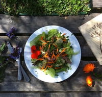 Fair Harvest Farm Cafe - Accommodation Tasmania