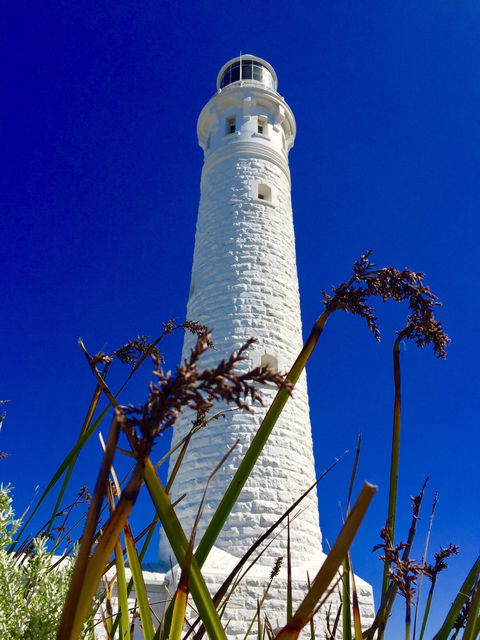 Cape Leeuwin Cafe - Accommodation Tasmania 1