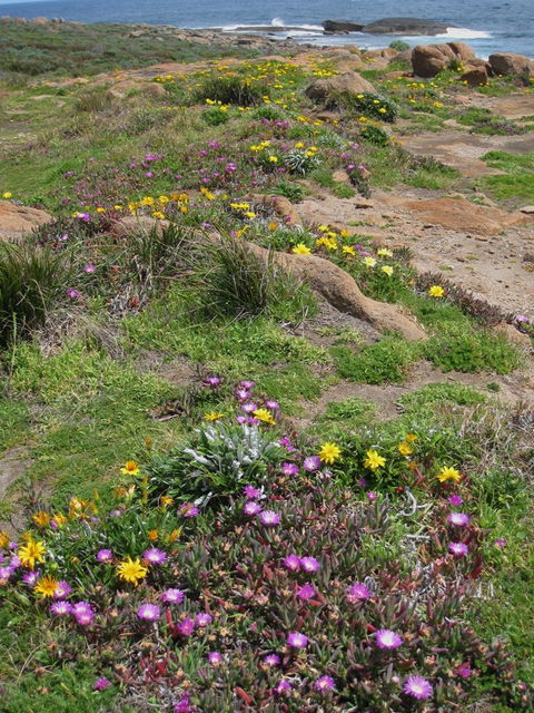 Cape Leeuwin Cafe - Accommodation Tasmania 8