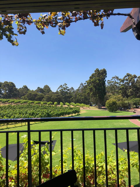Vasse Felix - Accommodation Tasmania 1