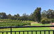 Vasse Felix - thumb 6