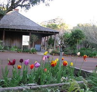 Stirling Cottage Kitchen - Accommodation Tasmania