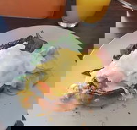 Stock Bar  Grill - Accommodation Tasmania