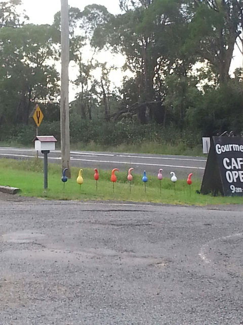 Danish Flower Art Gourmet Cafe - Accommodation Tasmania 1