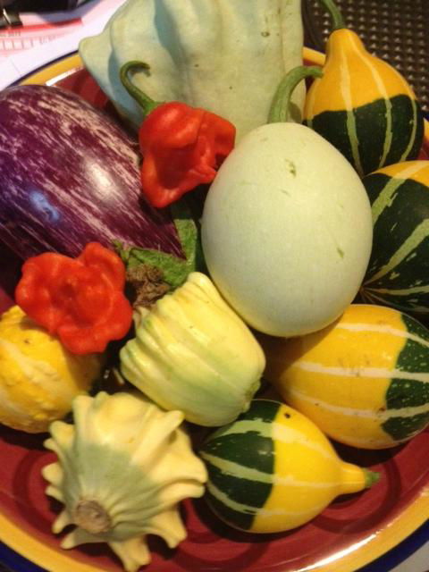 Harry's Cafe - Accommodation Tasmania 1