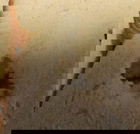 Sugarloaf Baking Co - Accommodation Tasmania