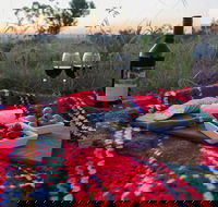 Bunnyconnellen Olive Grove  Vineyard - Accommodation Tasmania