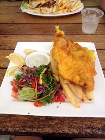 Dingo Beach Hotel & Units - Accommodation Tasmania 0