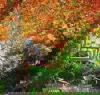 The Woods Ravensbourne - Accommodation Tasmania