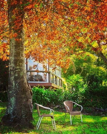 The Woods Ravensbourne - Accommodation Tasmania 0