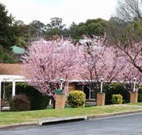 White Lanterns Motel - Accommodation Tasmania
