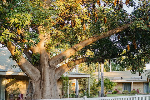 Kimberley Grande Resort & Conf Ctr - Accommodation Tasmania 0