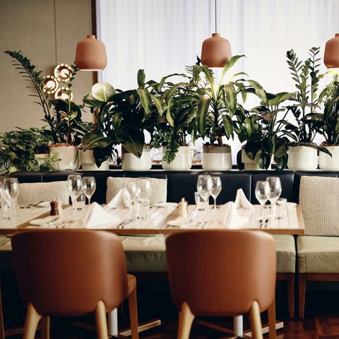 Amora Hotel Jamison Sydney - Accommodation Tasmania 12