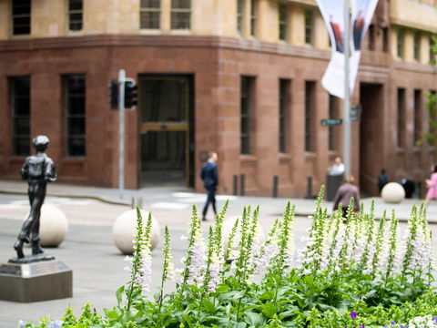 Mercure Sydney Martin Place - Accommodation Tasmania 14