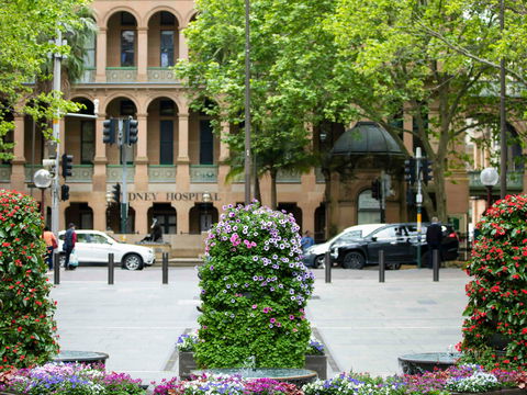 Mercure Sydney Martin Place - Accommodation Tasmania 16