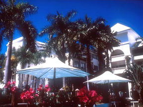Alamanda Palm Cove - Accommodation Tasmania 1