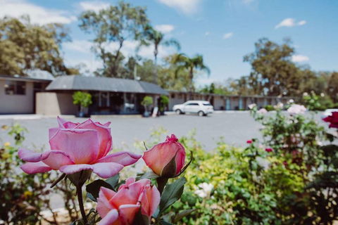 Artesian Spa Motor Inn - Accommodation Tasmania 2