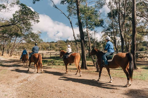 Country Club Villas - Accommodation Tasmania 0