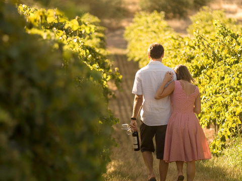 Novotel Barossa Valley Resort - Accommodation Tasmania 1