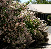 Wine Village Motor Inn - Accommodation Tasmania